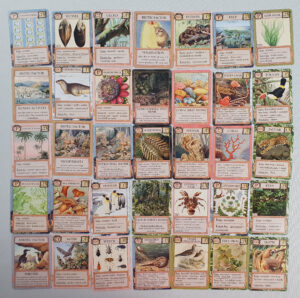 Ecologies - Bizarre Biomes - Carte